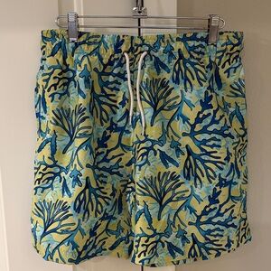 Men's Trunks Blue and Yellow Lined Swim Shorts